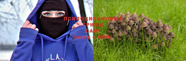 гидропоника Балабаново