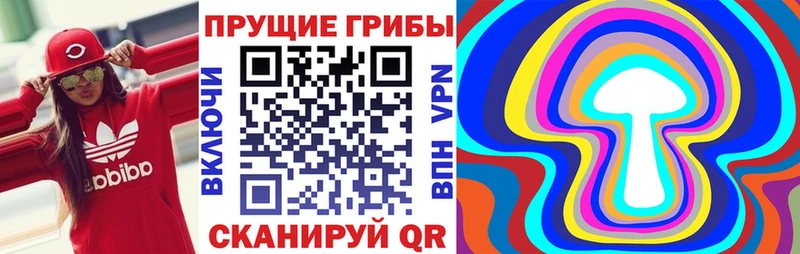 Галлюциногенные грибы Psilocybine cubensis  MEGA tor  Полевской  где купить наркотик 