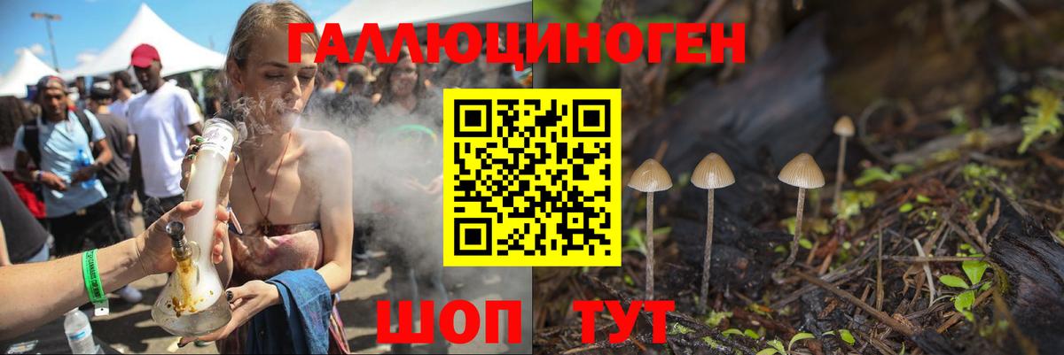 Псилоцибиновые грибы Psilocybine cubensis Полевской