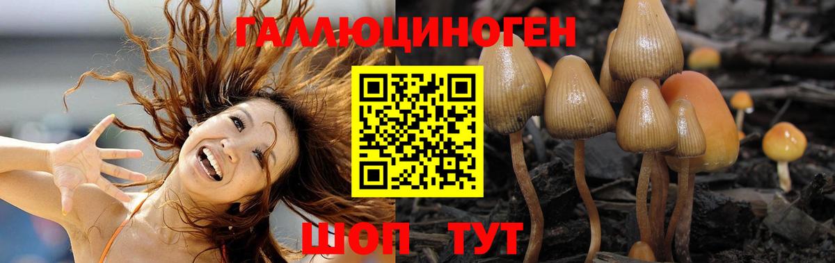 Псилоцибиновые грибы мицелий  Вход с VPN  Полевской 